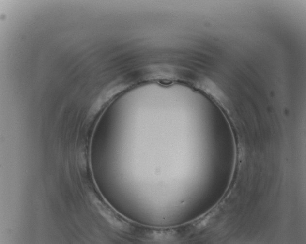 X0000062930345200601202032