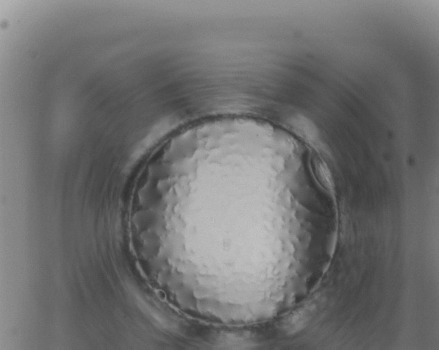 X0000062930346200601202032