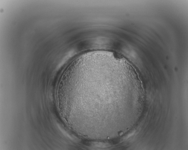 X0000062930347200601202032