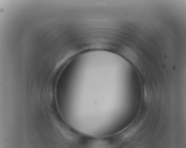 X0000062930348200601202032