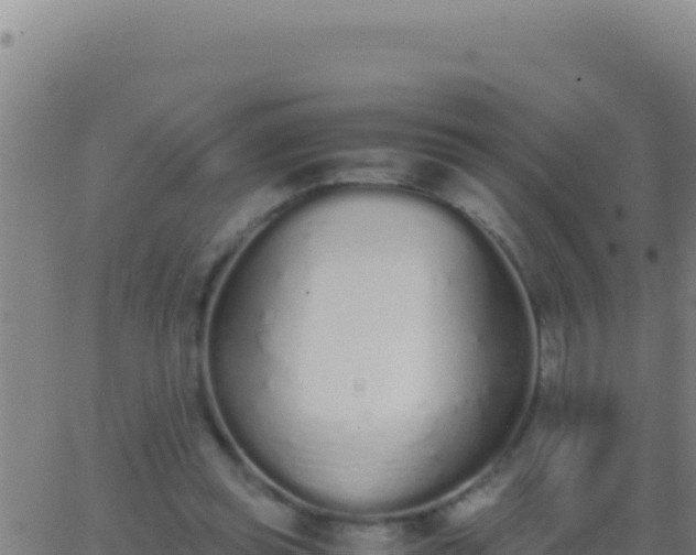 X0000062930349200601202032