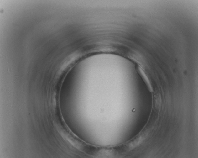 X0000062930350200601202032