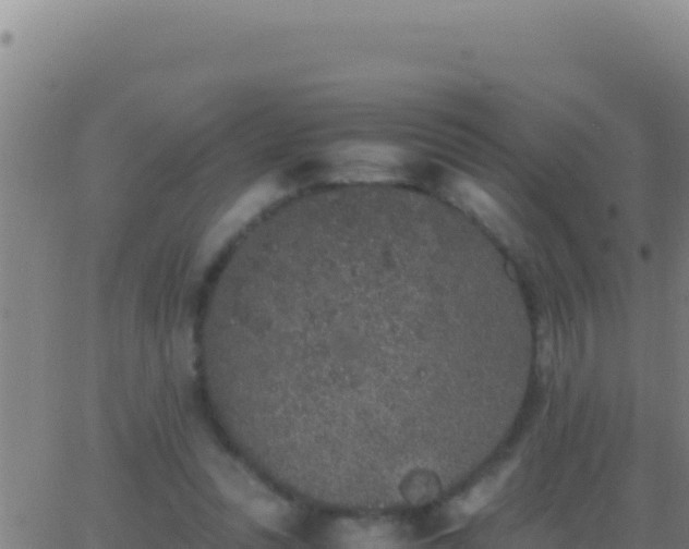 X0000062930351200601202032