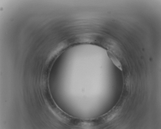 X0000062930352200601202032