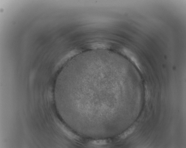 X0000062930353200601202032