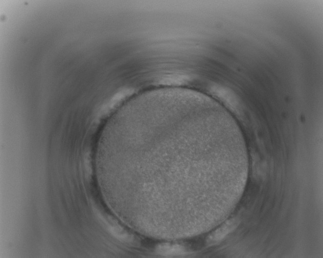 X0000062930354200601202032