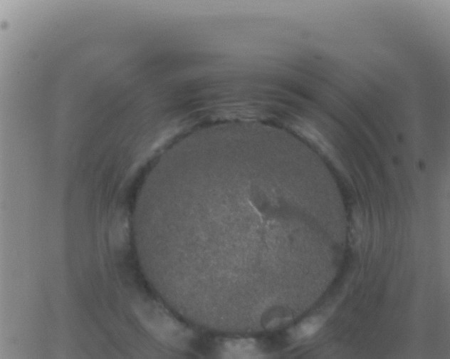 X0000062930355200601202032