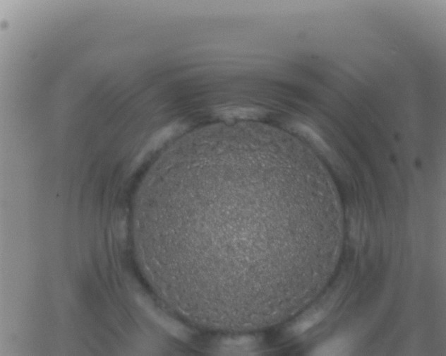 X0000062930357200601202032