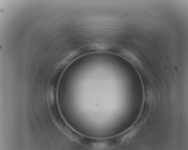 X0000062930358200601202032