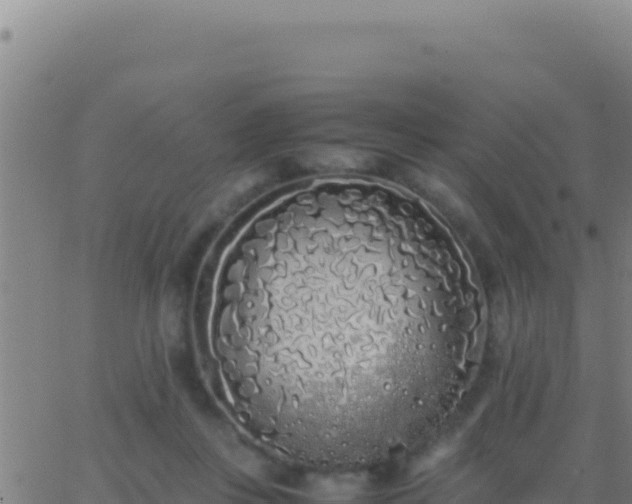 X0000062930359200601202032