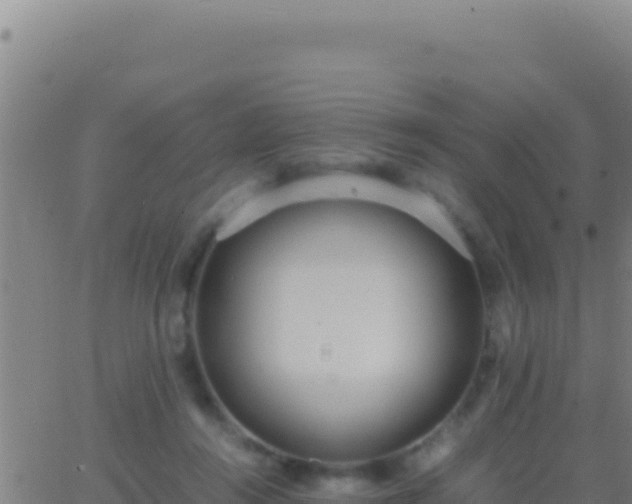 X0000062930360200601202032