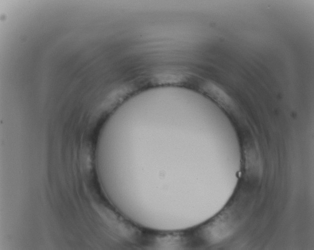 X0000062930362200601202033