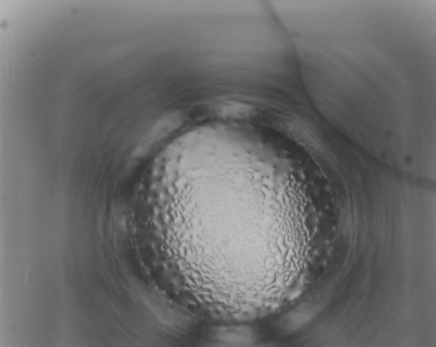 X0000062930363200601202033