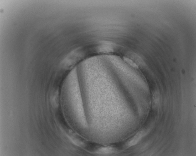 X0000062930364200601202033