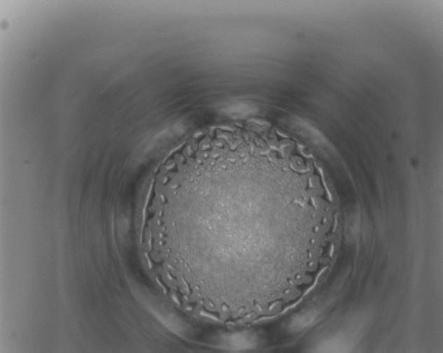 X0000062930365200601202033