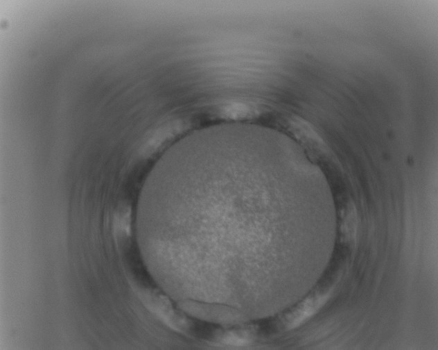 X0000062930368200601202033