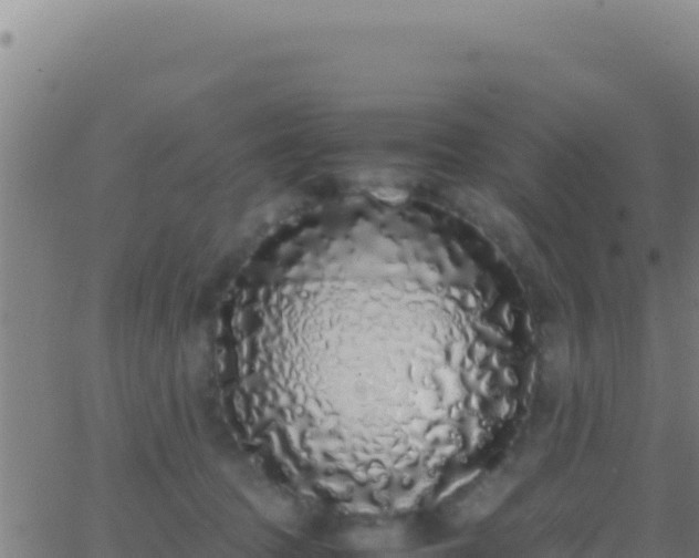 X0000062930369200601202033