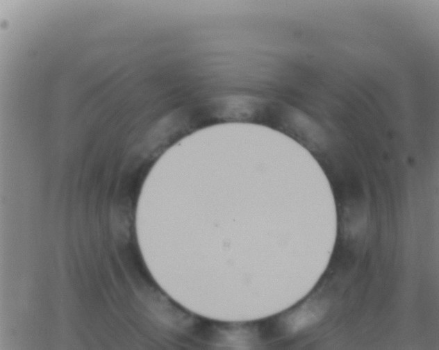 X0000062930370200601202033