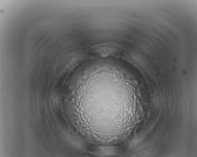 X0000062930371200601202033