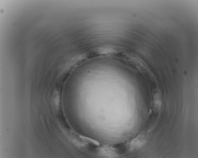 X0000062930372200601202033