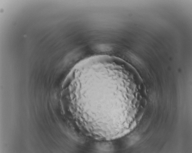 X0000062930373200601202033