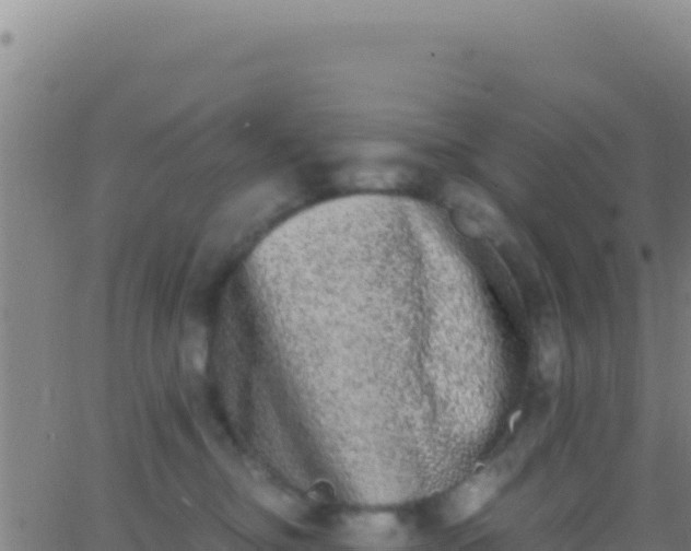 X0000062930374200601202033