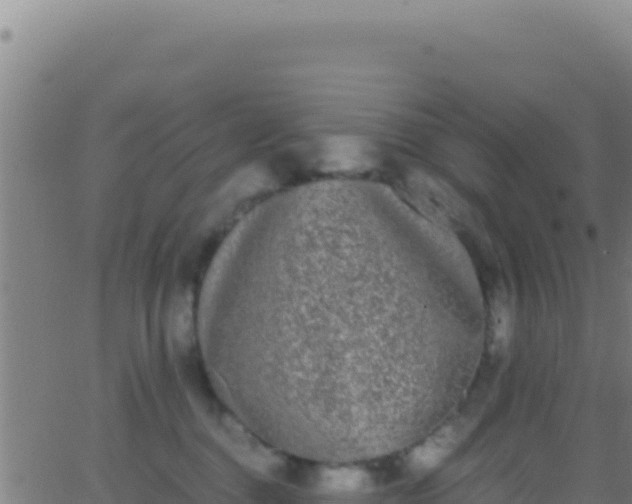 X0000062930376200601202033