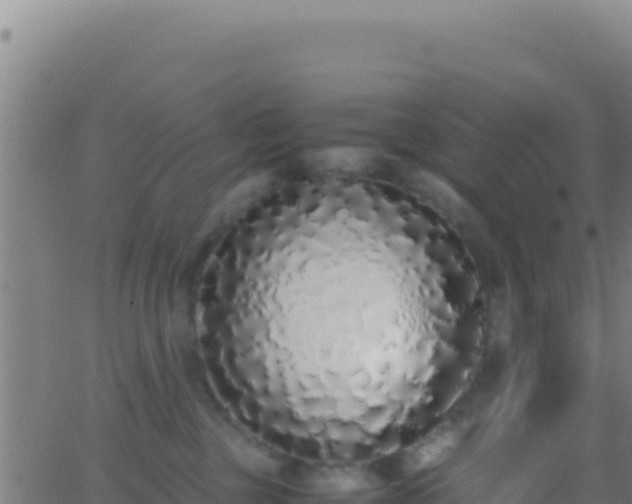 X0000062930377200601202033