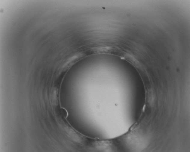 X0000062930378200601202033