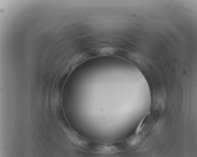 X0000062930379200601202033