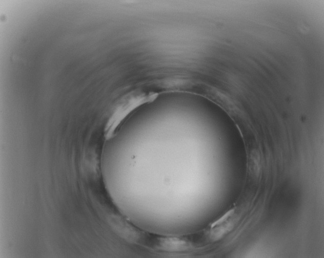 X0000062930380200601202033