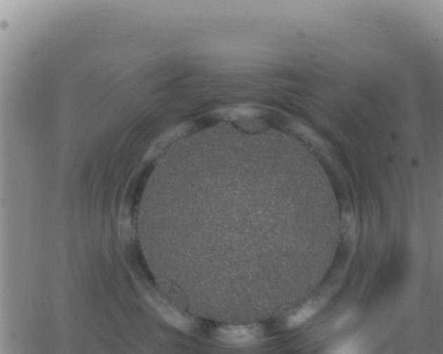 X0000062930381200601202033