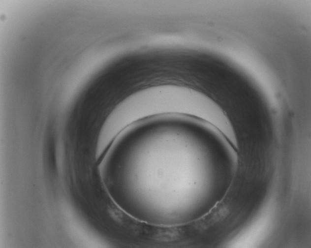 X0000062930382200601202033