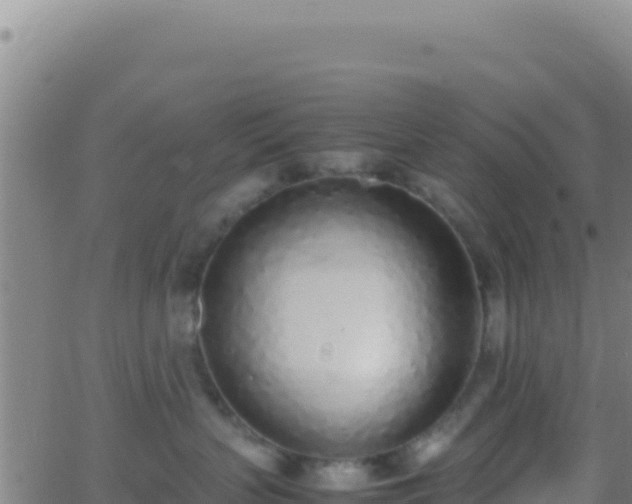 X0000062930383200601202033