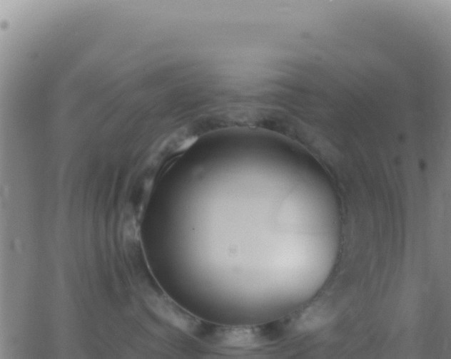 X0000062930384200601202033