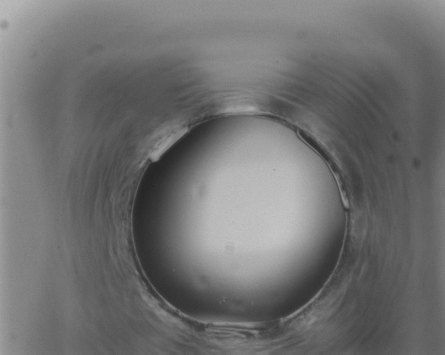 X0000062930385200601202032