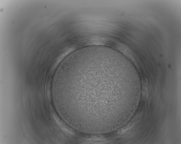 X0000062930386200601202032