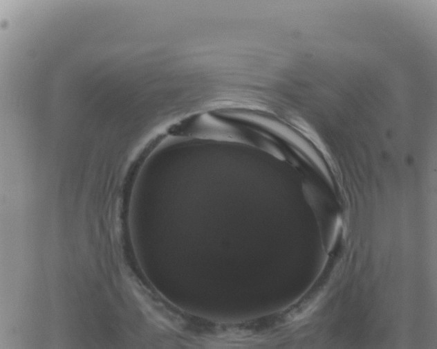 X0000062930387200601202032