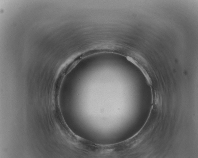 X0000062930388200601202032