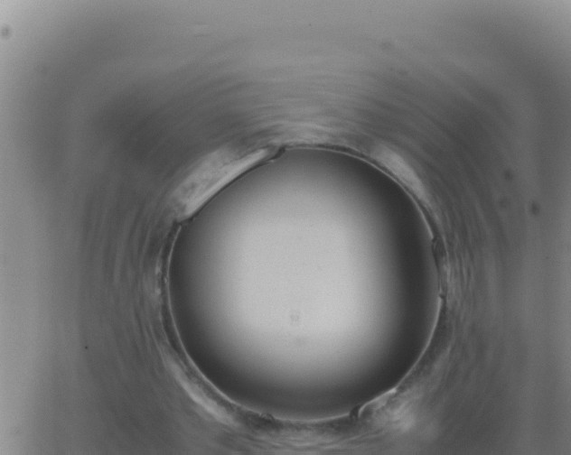 X0000062930389200601202032