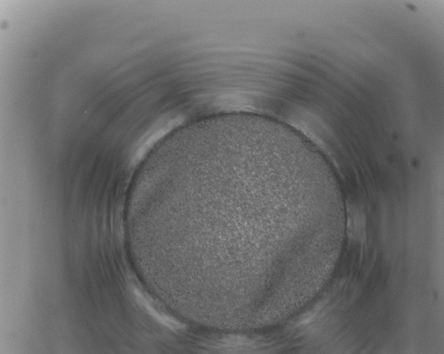 X0000062930390200601202032