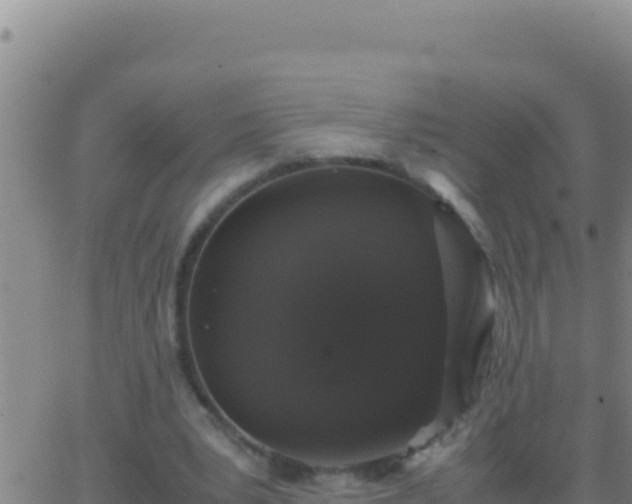 X0000062930391200601202032