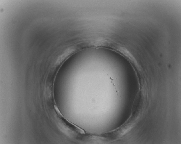 X0000062930393200601202032