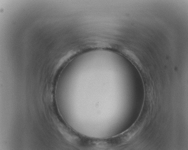 X0000062930395200601202032