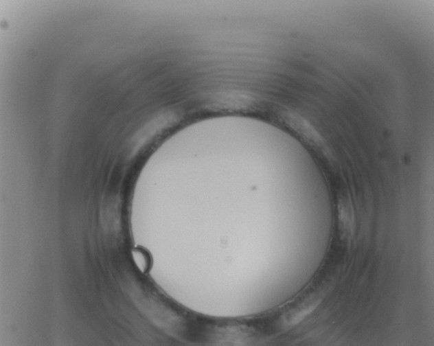 X0000062930396200601202032