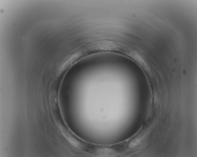 X0000062930397200601202032