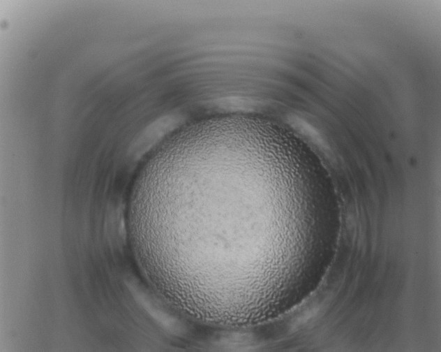 X0000062930398200601202032