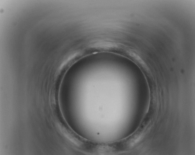 X0000062930399200601202032