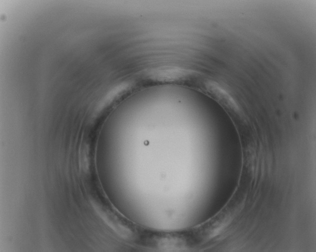 X0000062930400200601202032