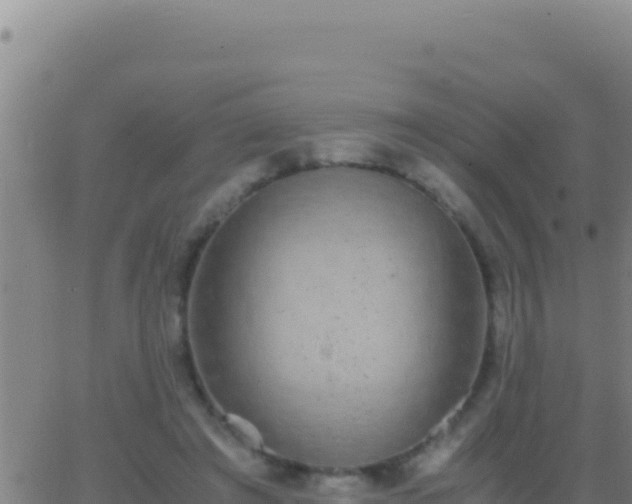 X0000062930401200601202032